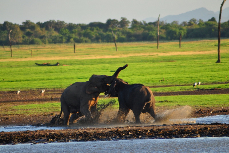 Sri Lanka, National parks